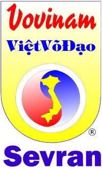 Vovinam viet vo dao